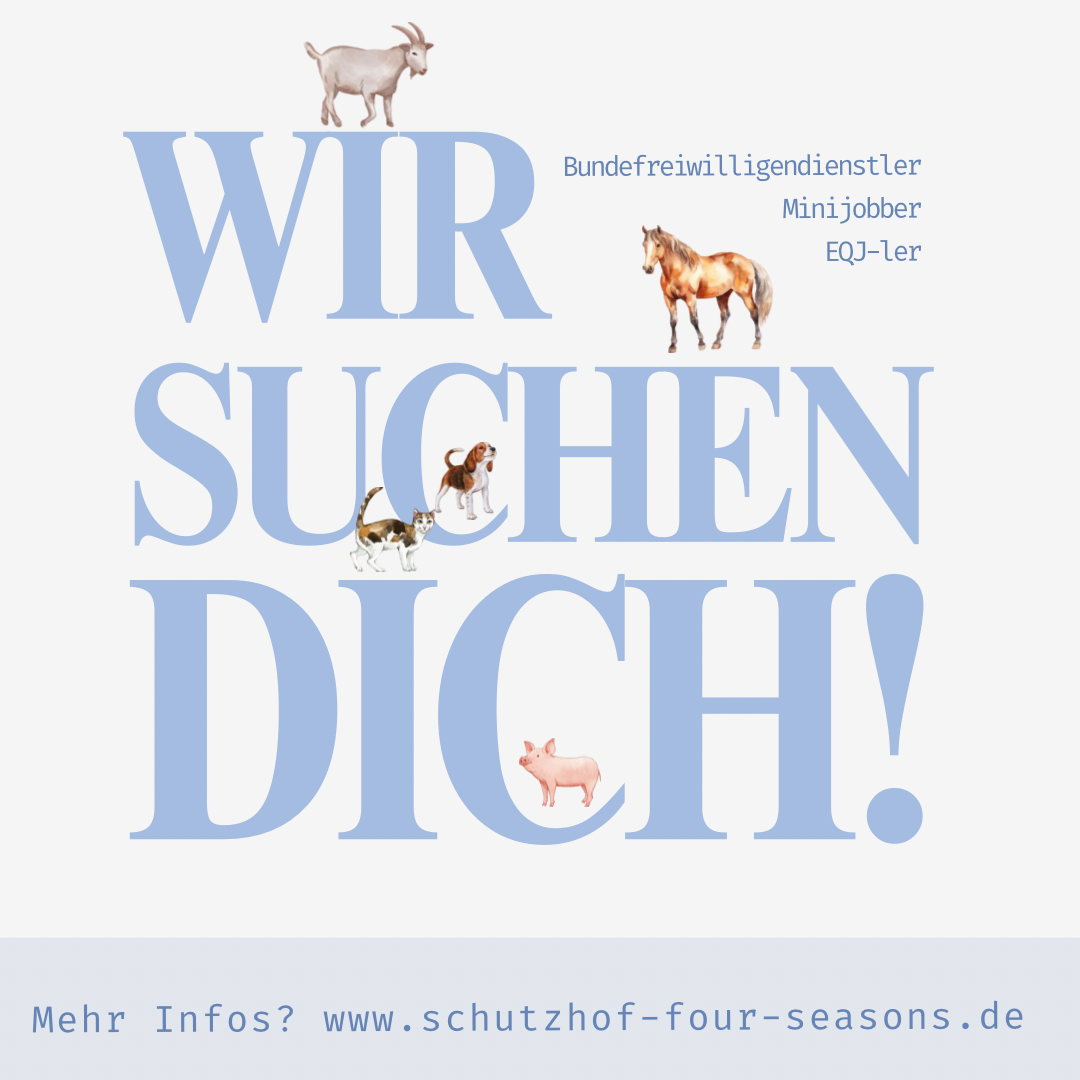 Bundesfreiwilligendienst/ EQJ ab August 2026