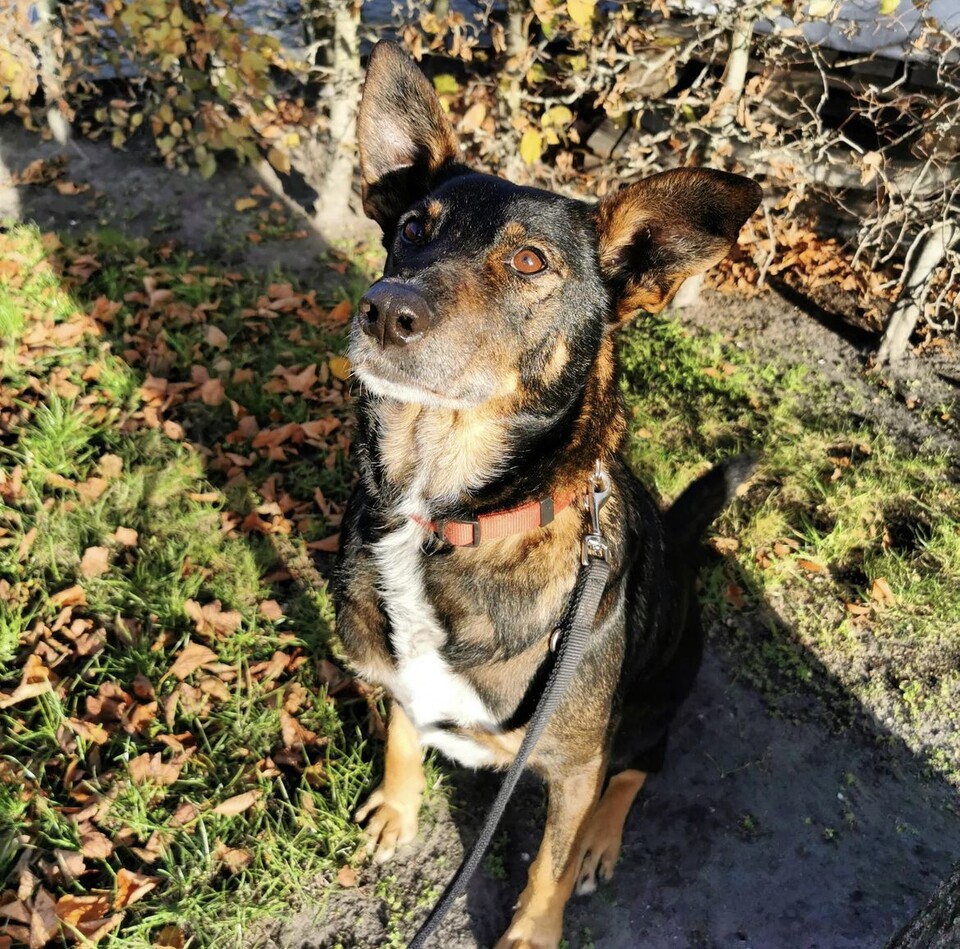 Charly – Schutzhof Four Seasons