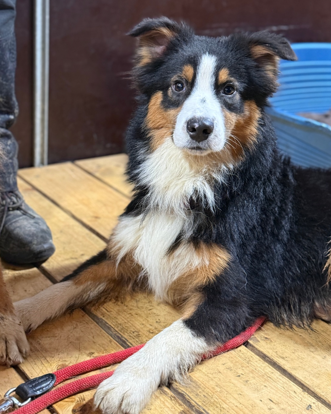 Kain, Abel und Azura 