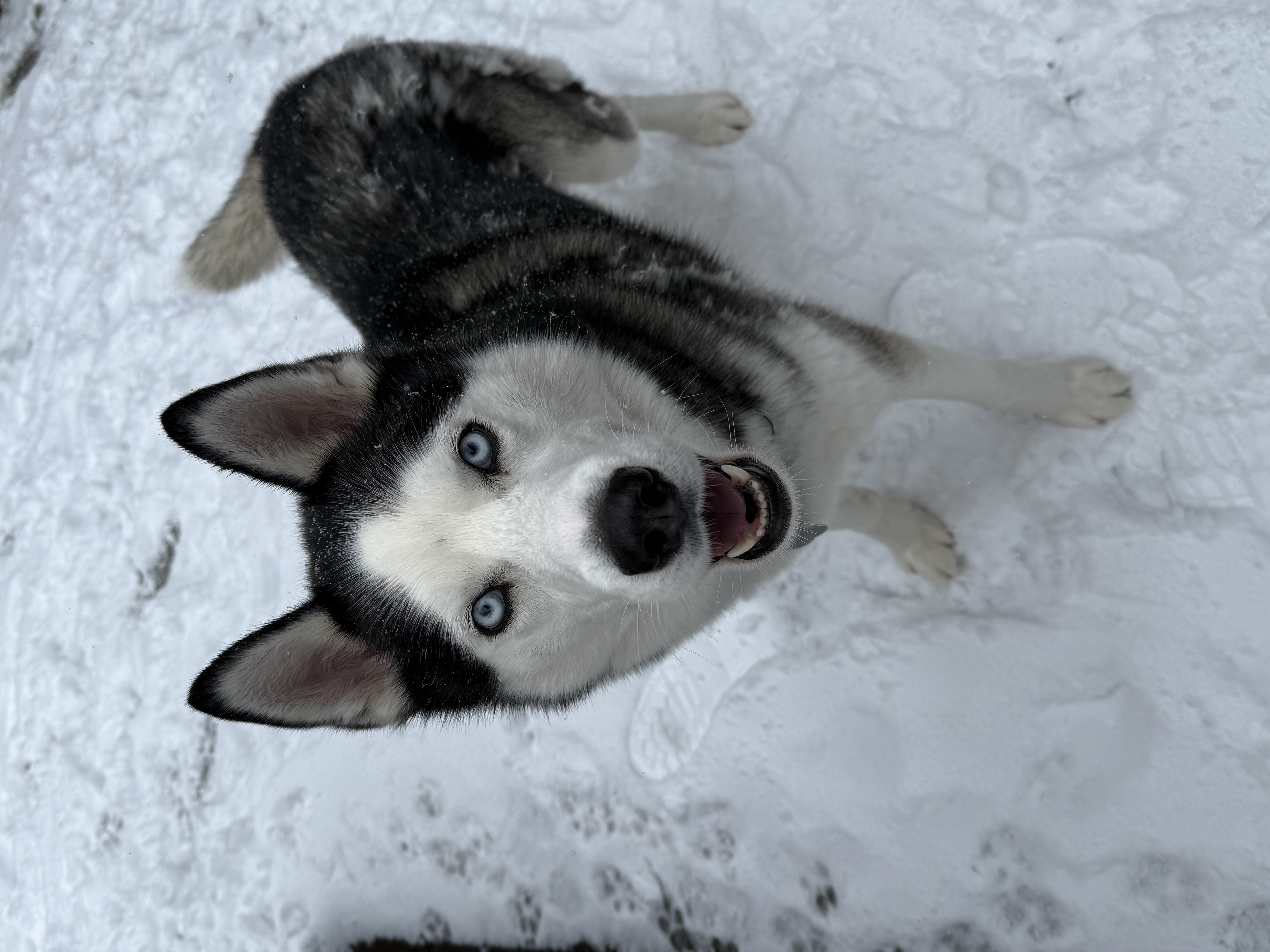 IMG7323.jpeg