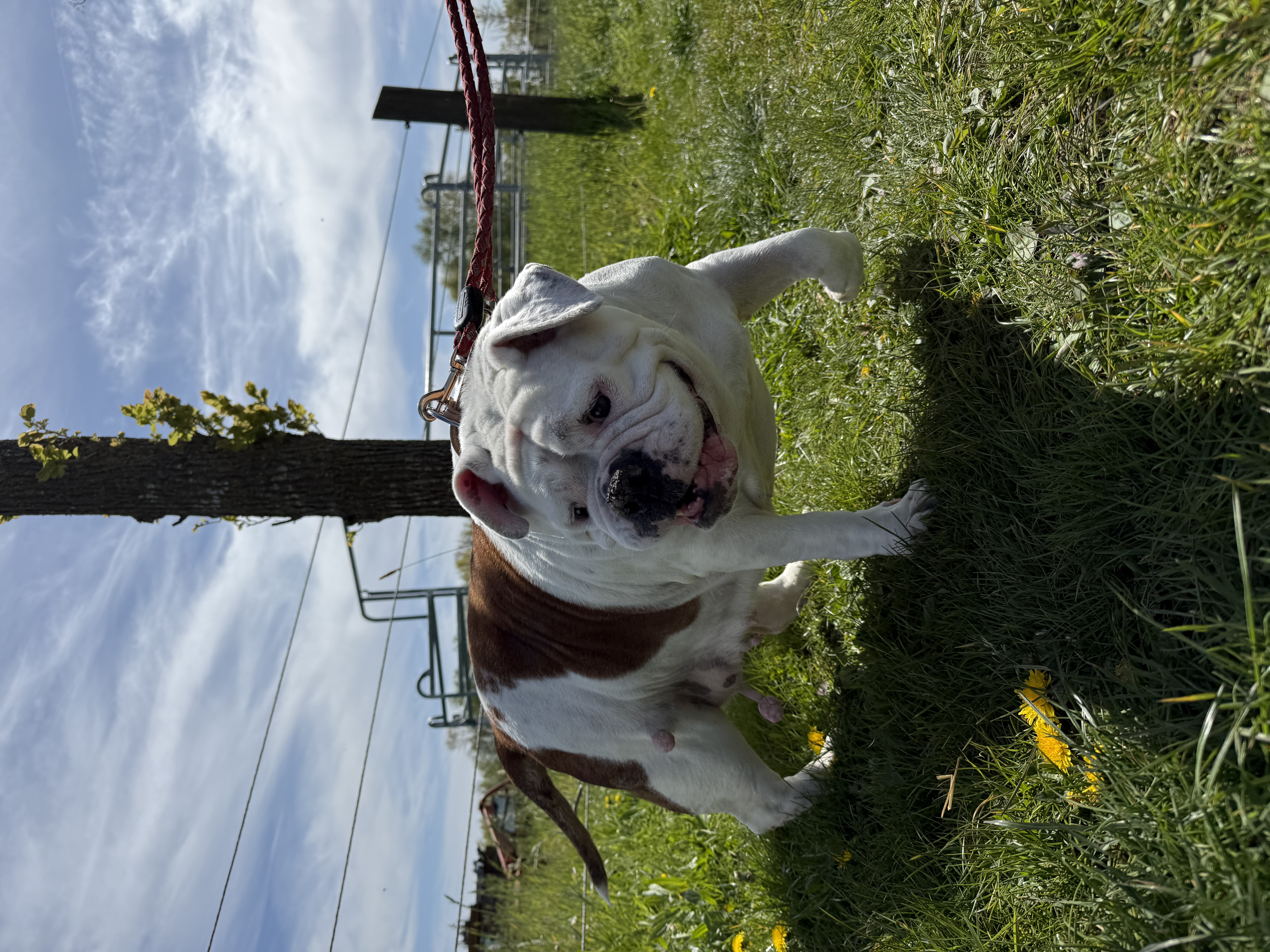 IMG0595.jpeg