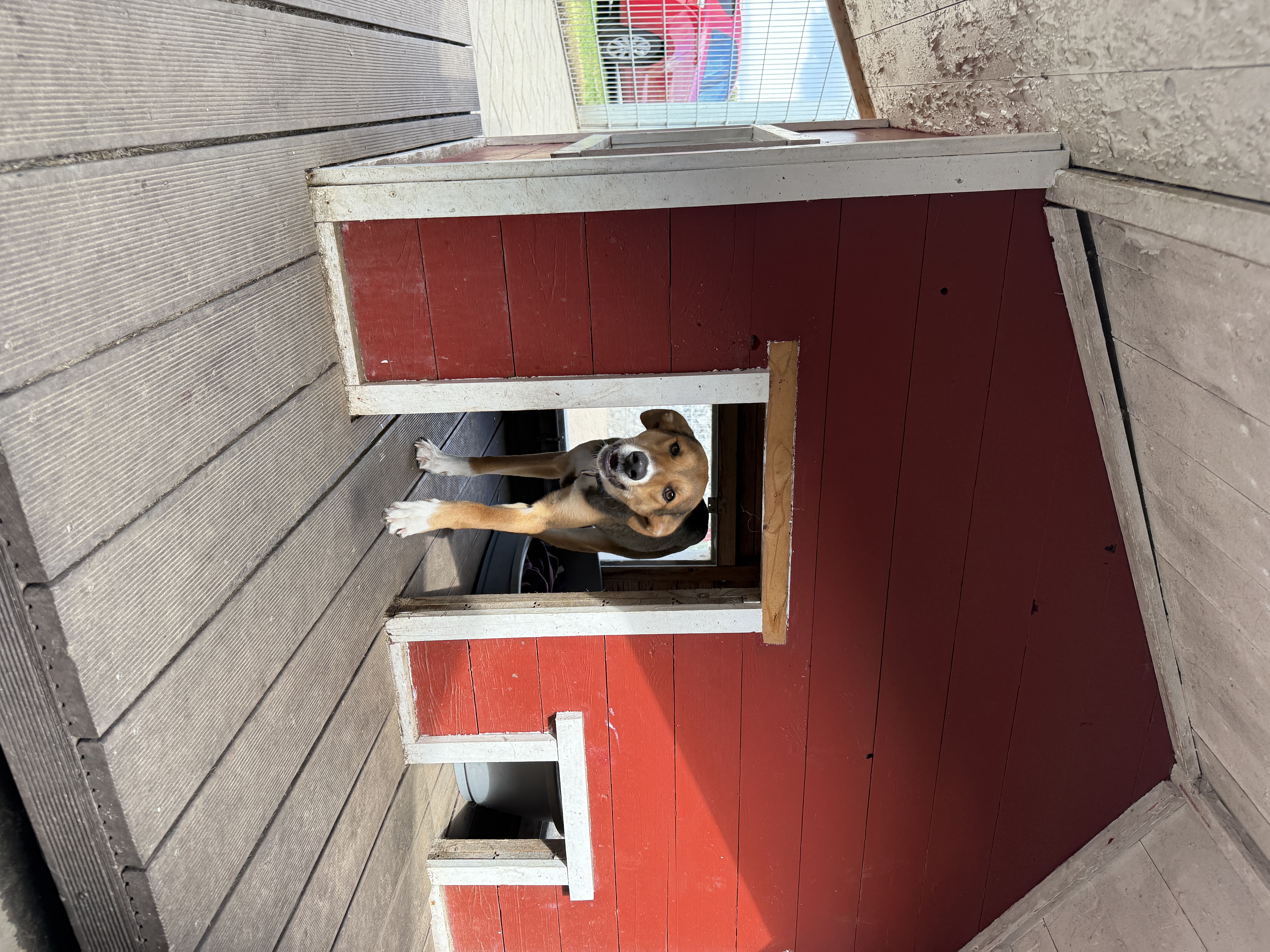 IMG1034.jpeg