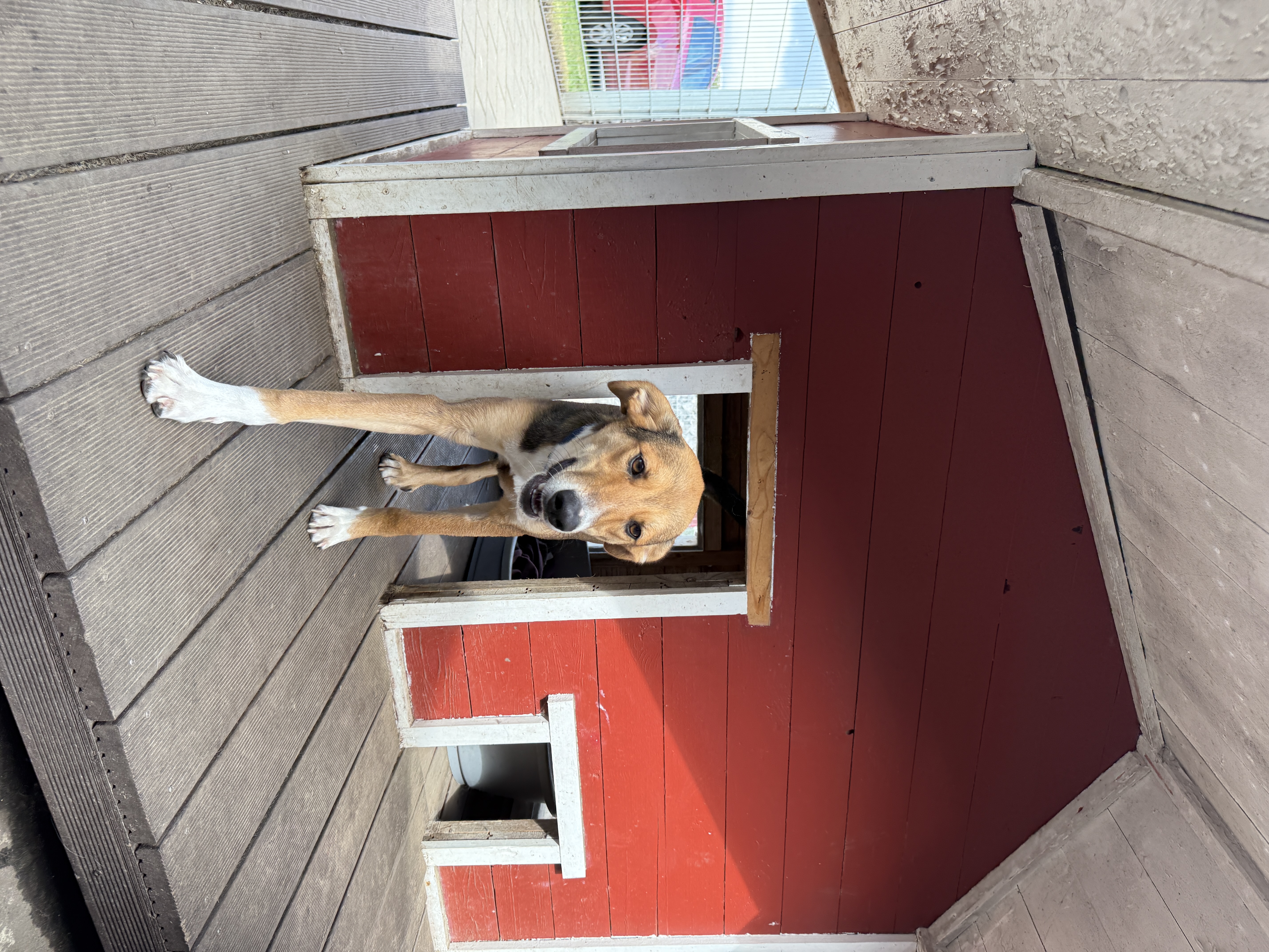IMG1035.jpeg