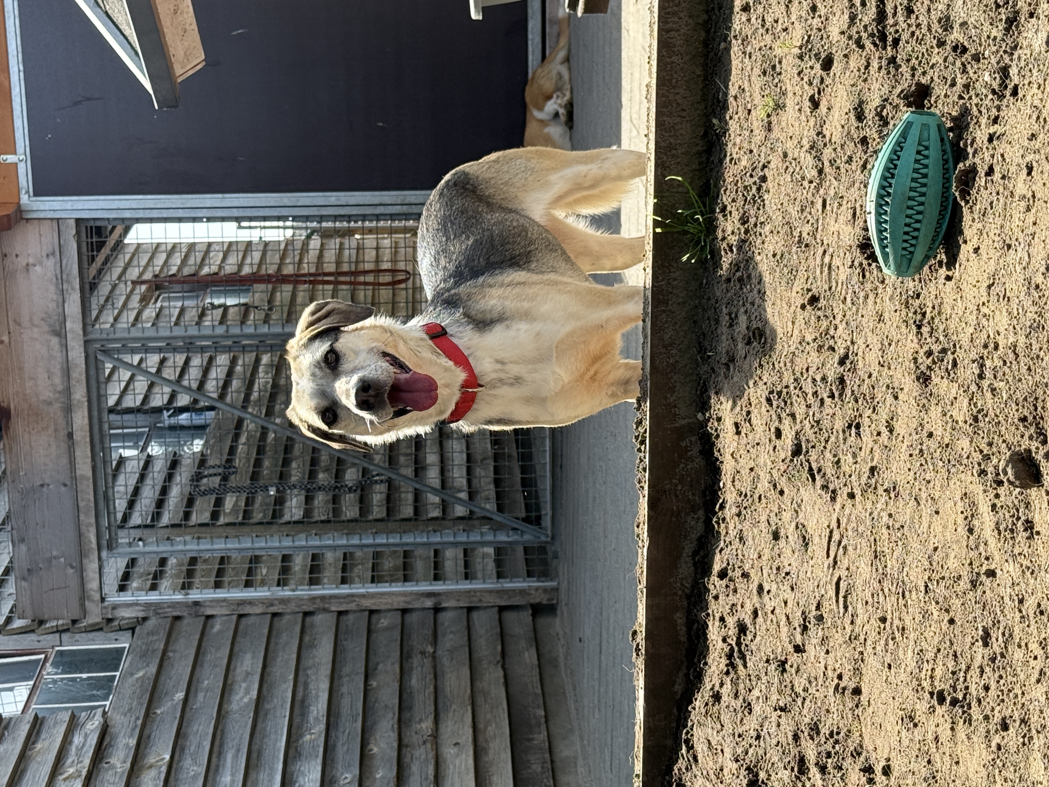 IMG1836.jpeg