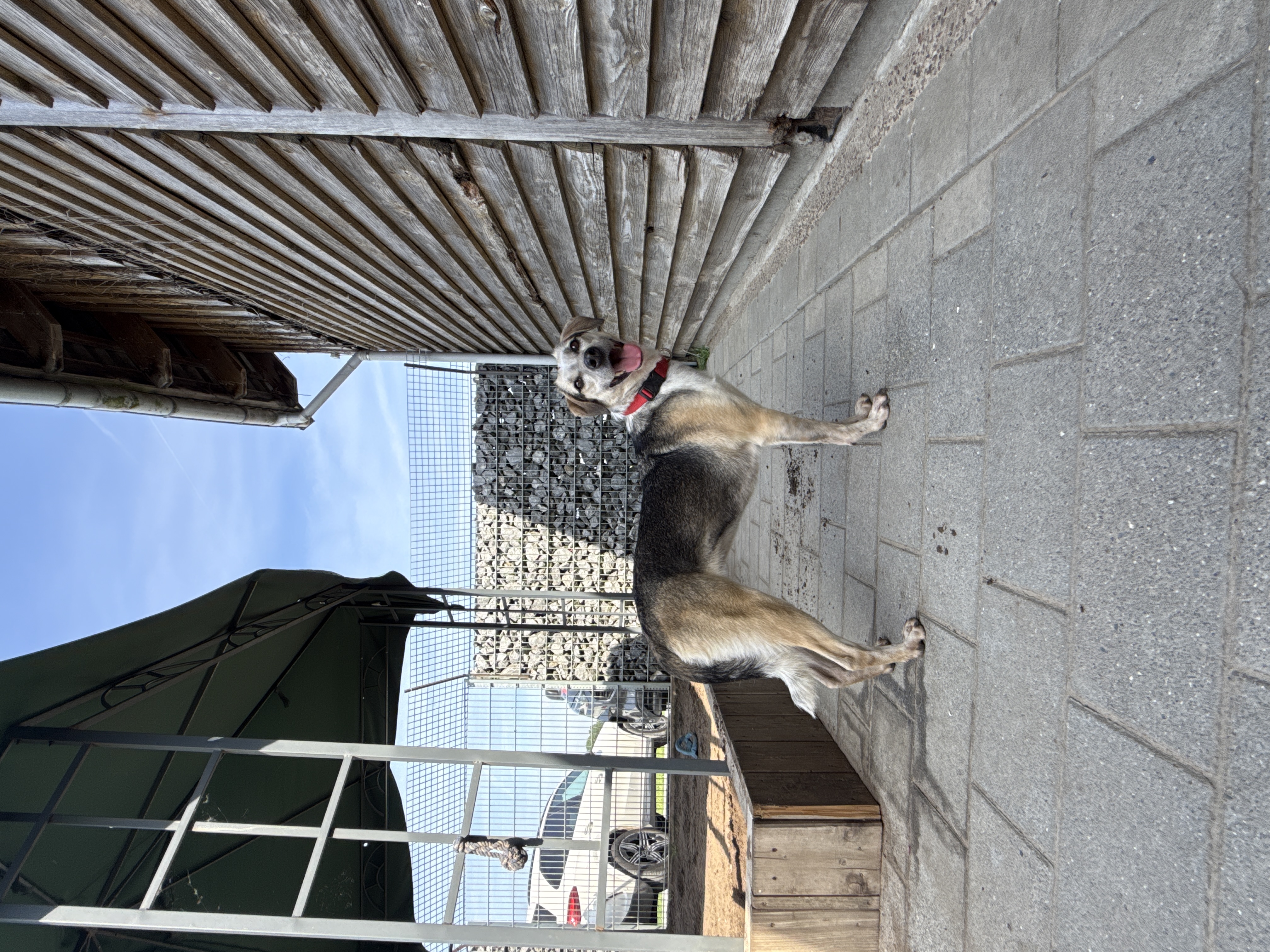 IMG1850.jpeg