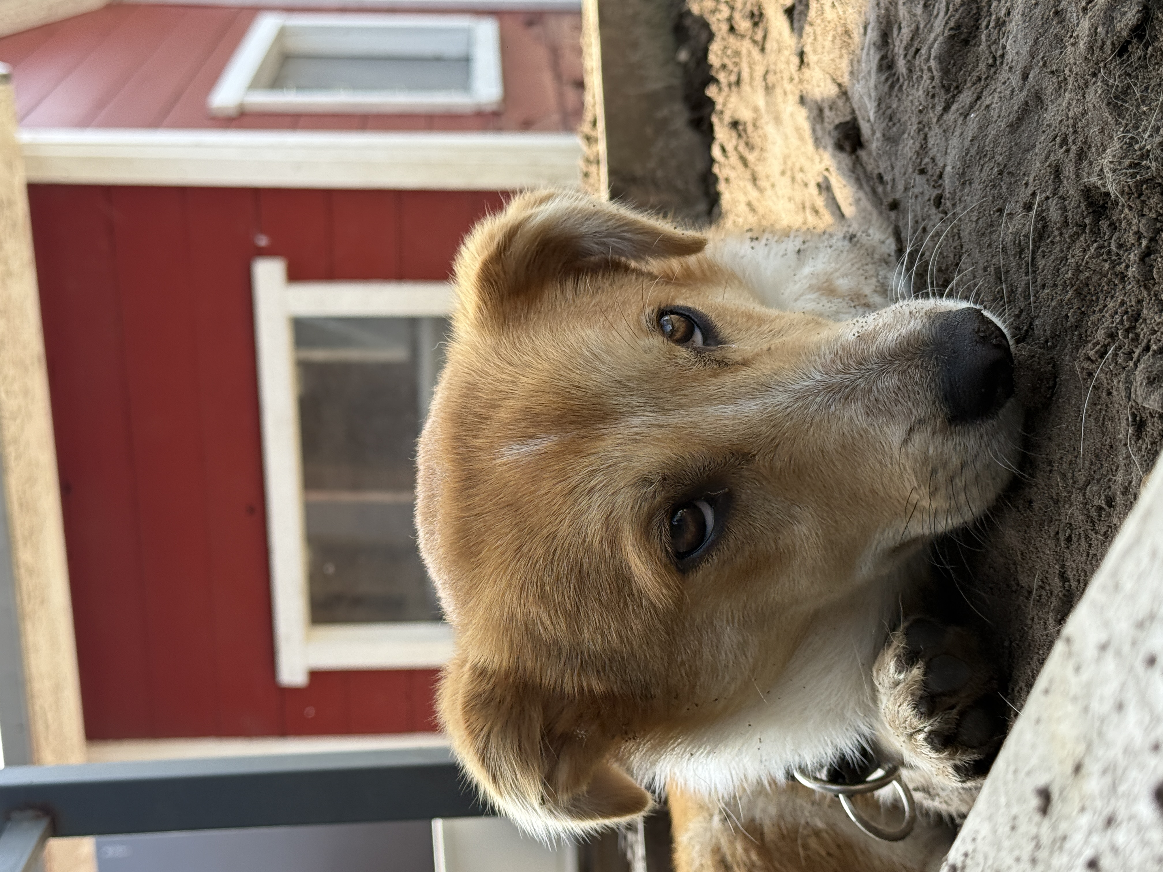 IMG1791.jpeg