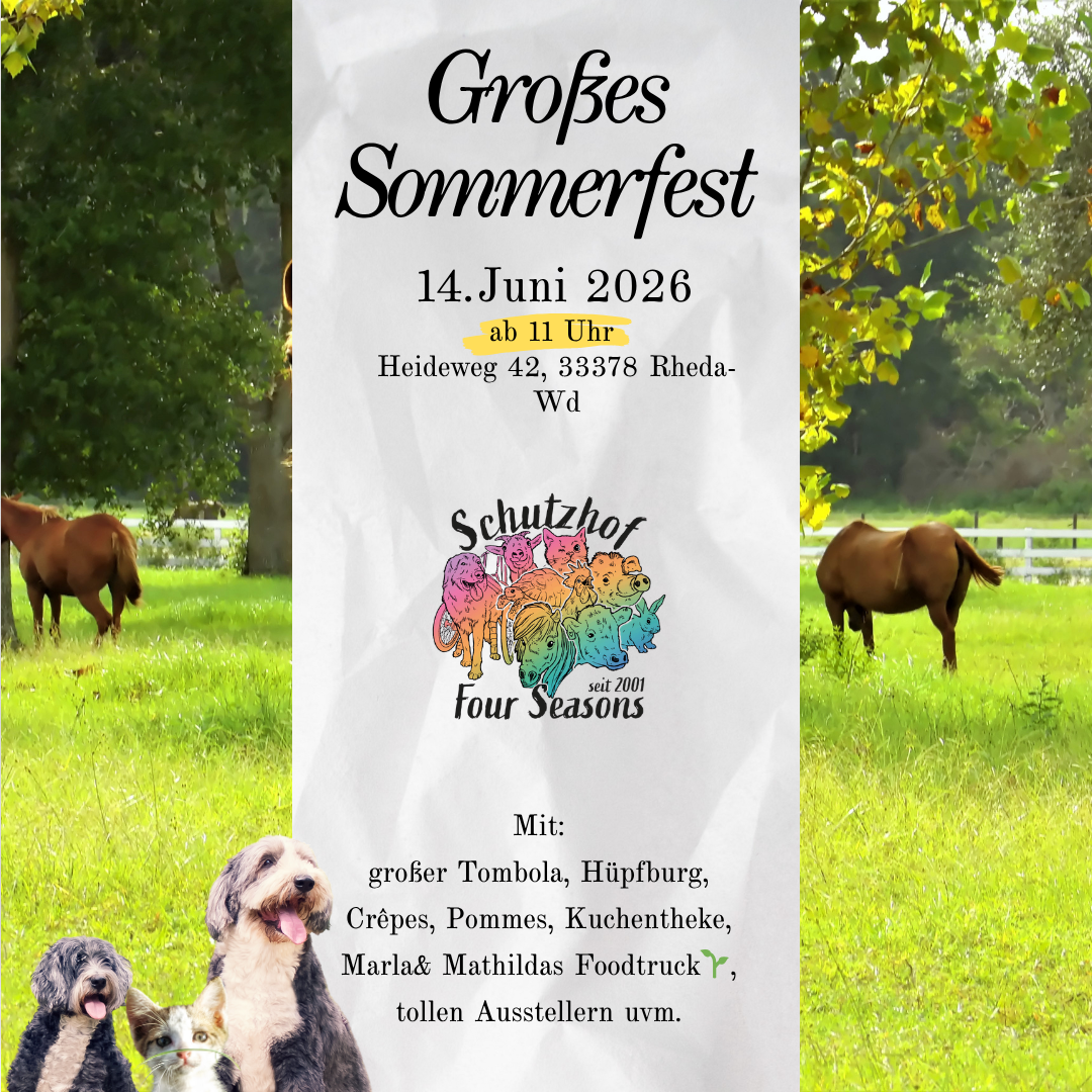 Großes Sommerfest