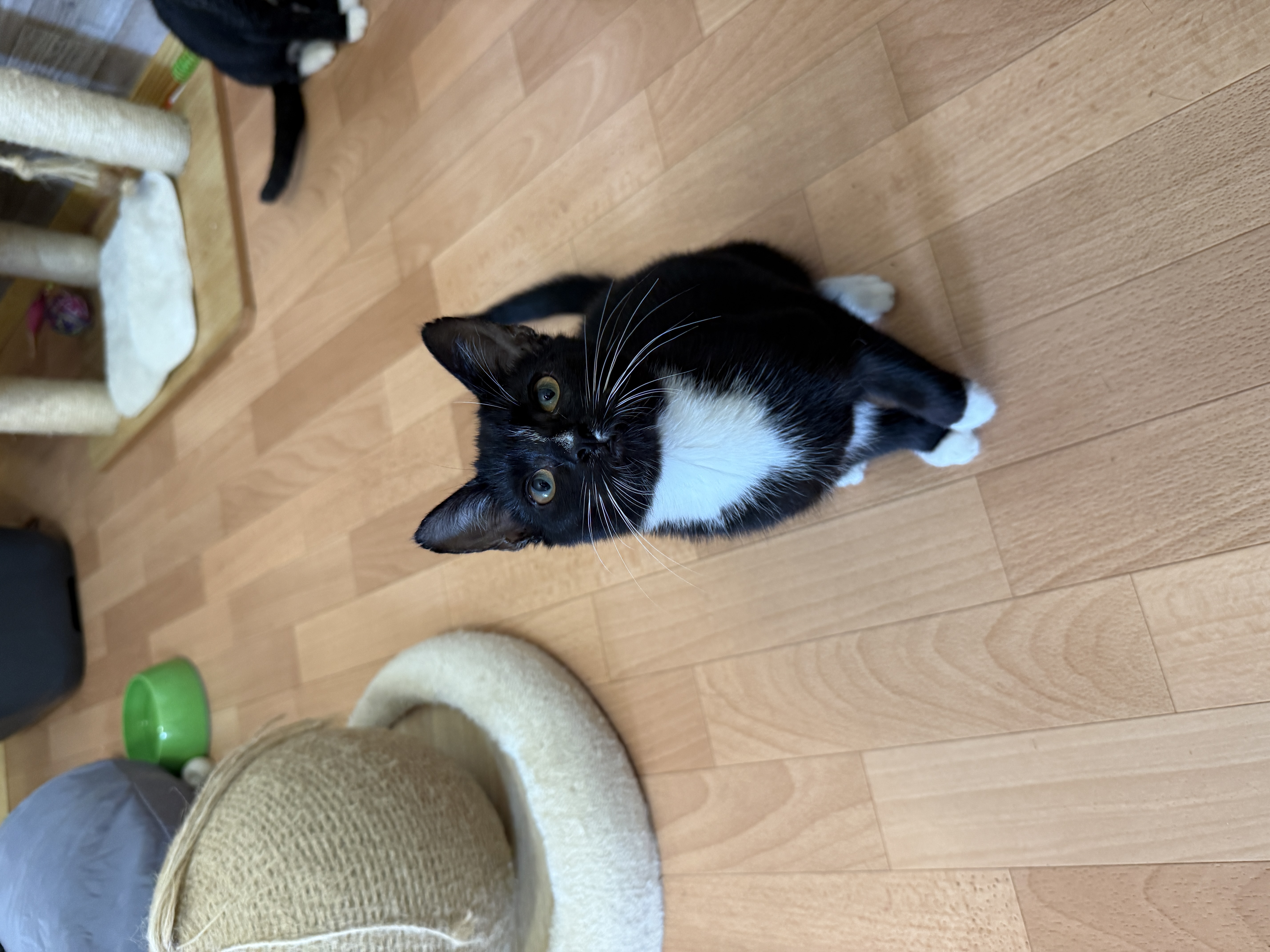 IMG5220.jpeg