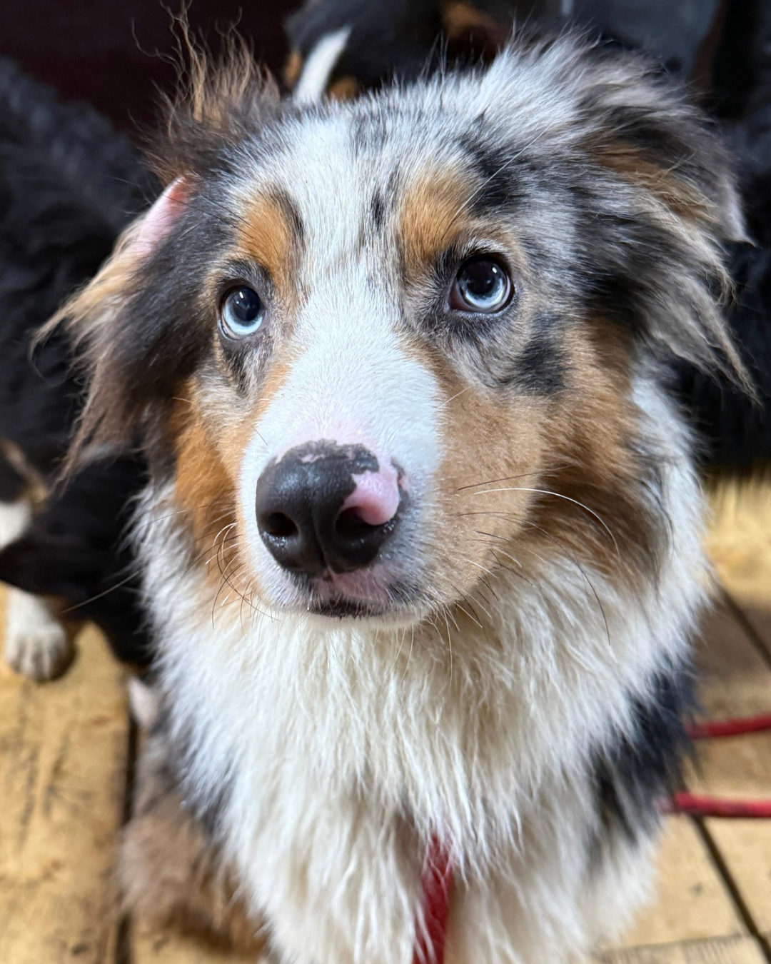 Notfelle im Dezember