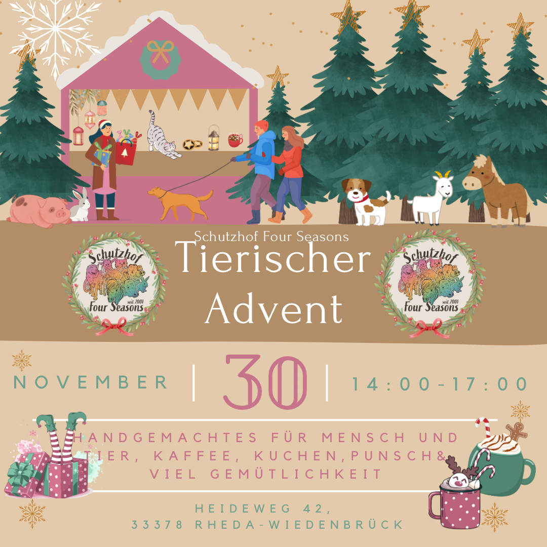 Tierischer Advent