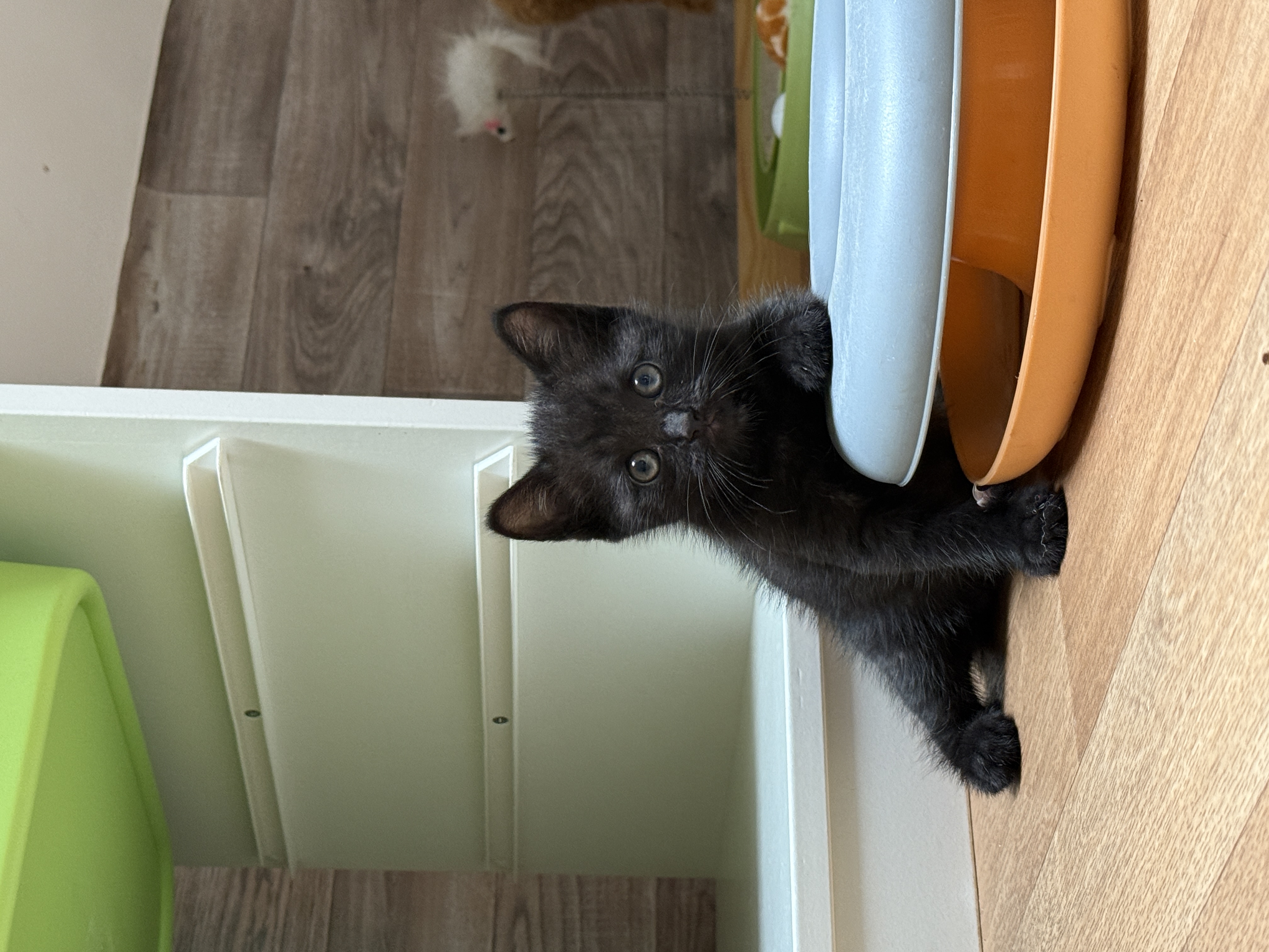 IMG3138.jpeg