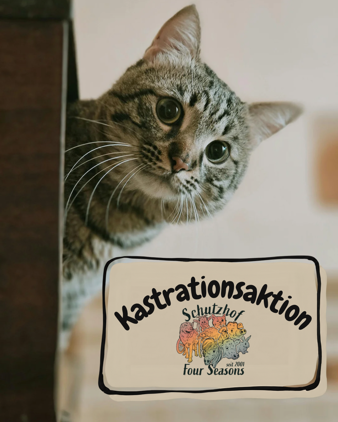 Kastration verhindert Tierleid