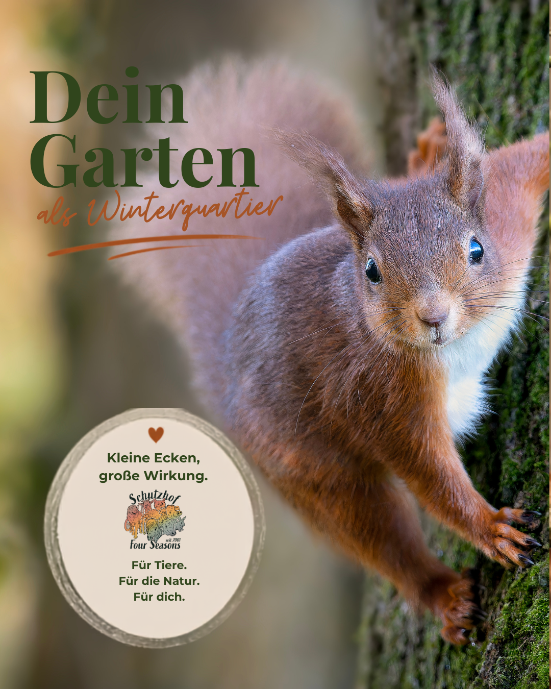 Heidewitzka sucht das Glück