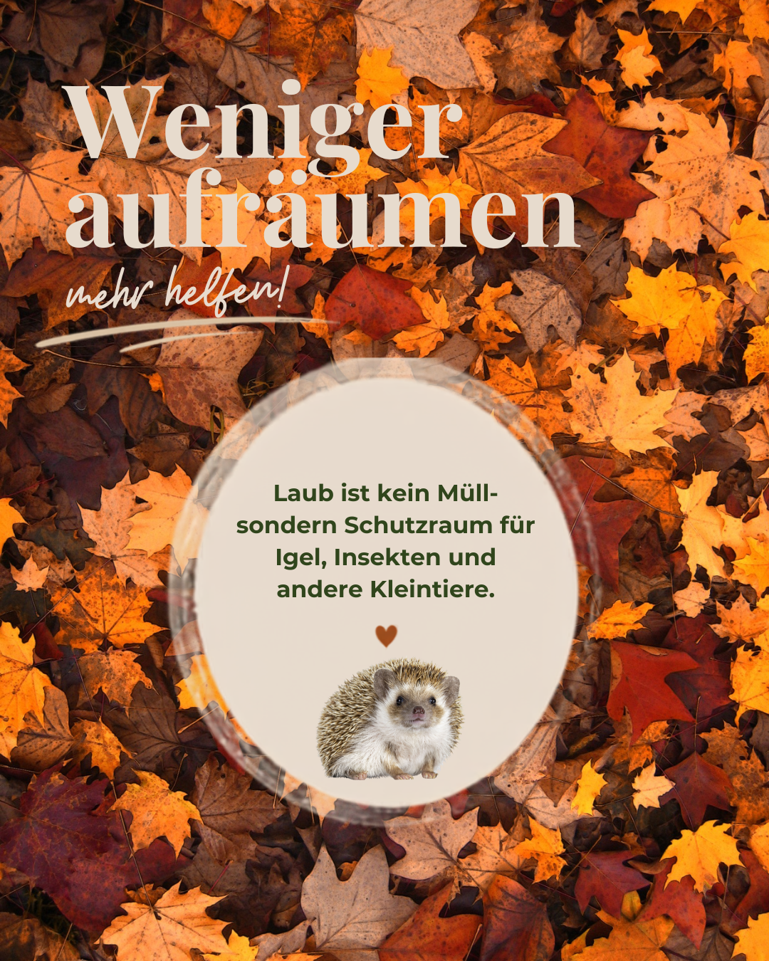 Zwischenberschrift-hinzufgen-2.png