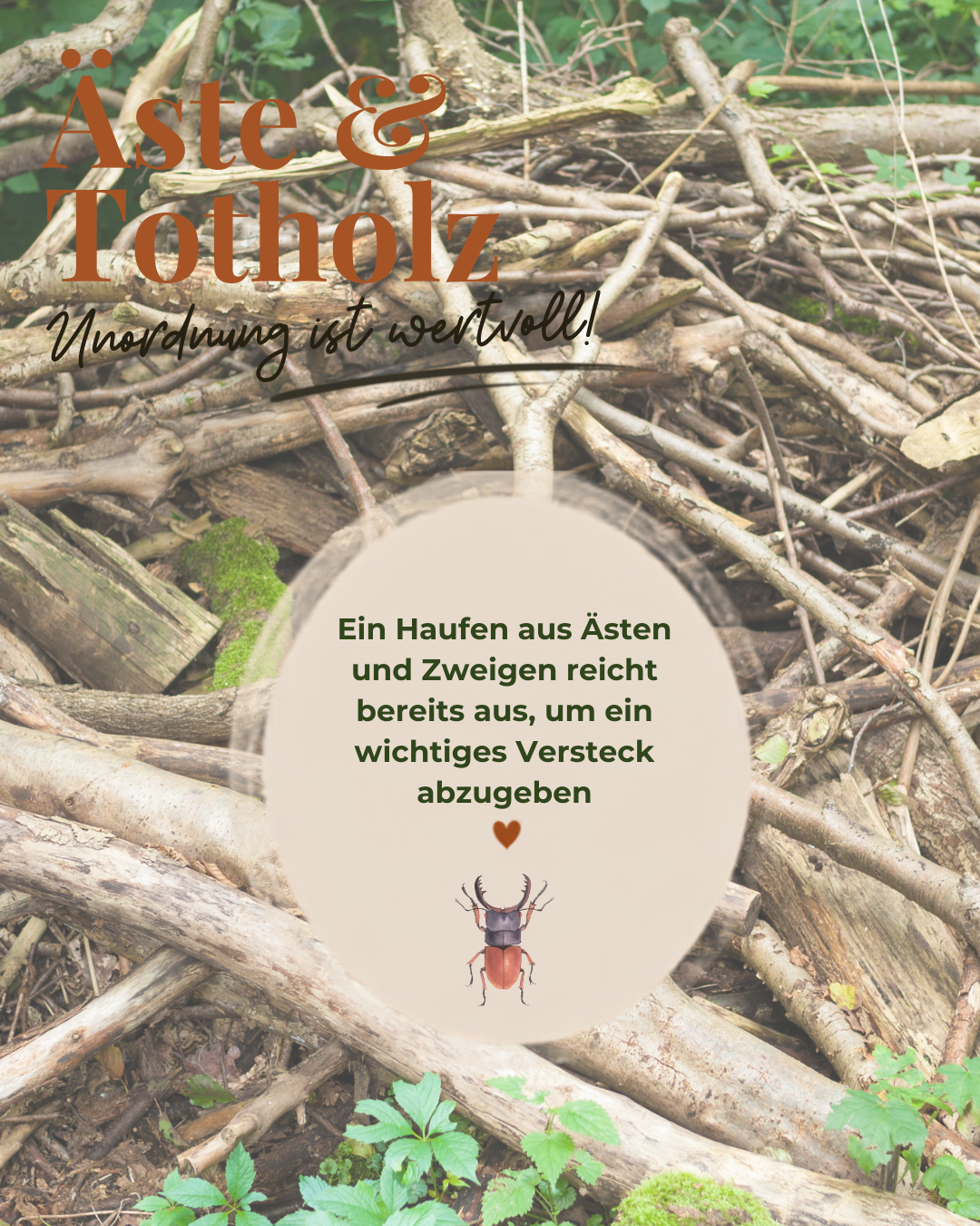 Zwischenberschrift-hinzufgen-3.png