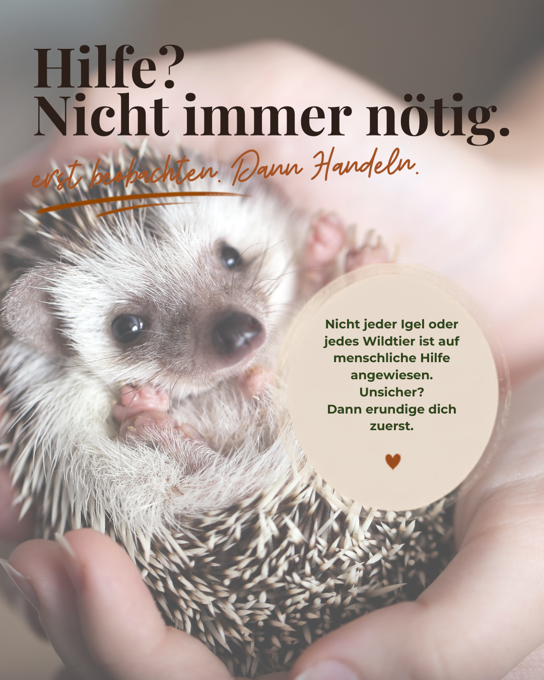 Zwischenberschrift-hinzufgen-6.png