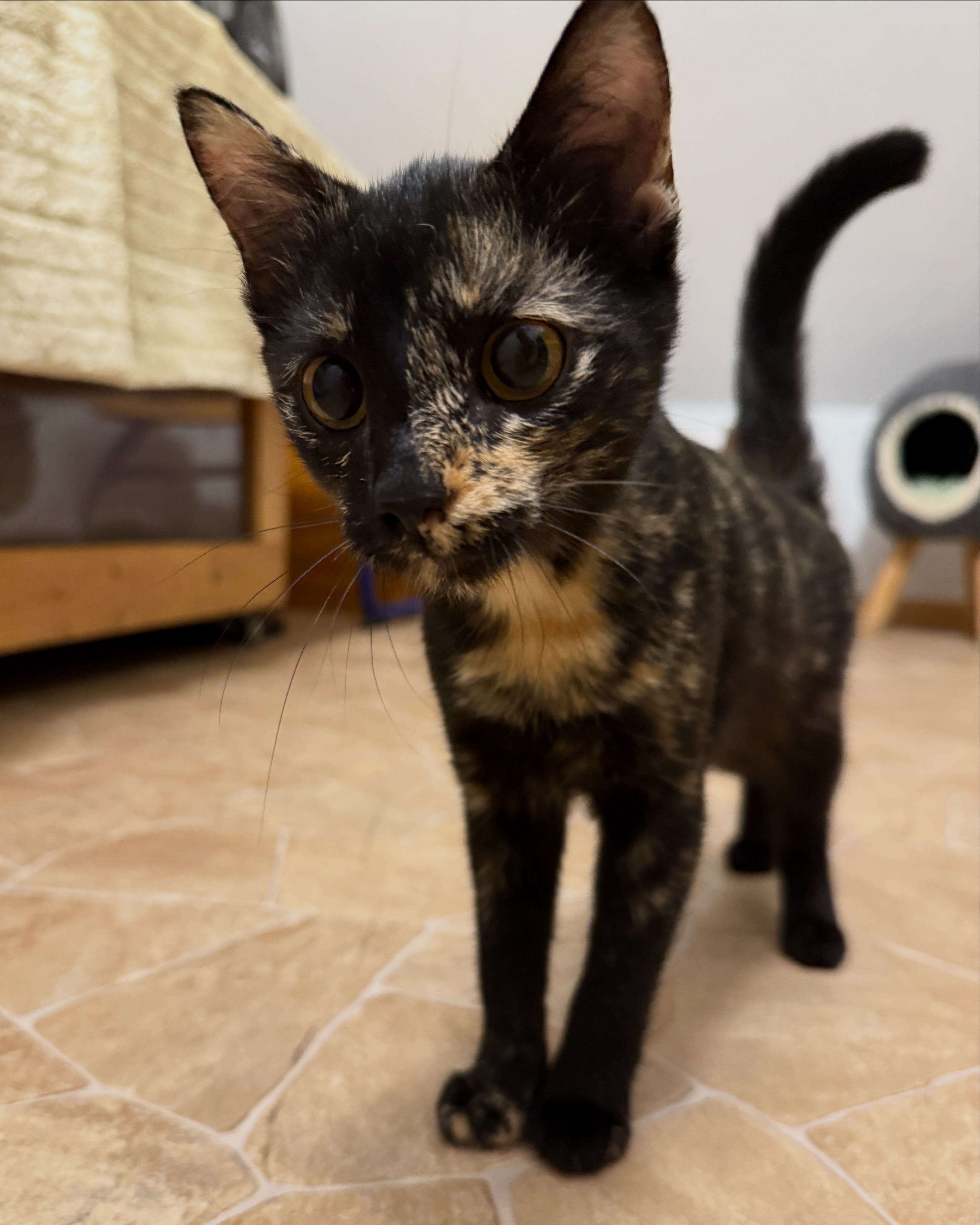 E4C6D58B-F901-4B33-B82F-5024E261193C.jpeg
