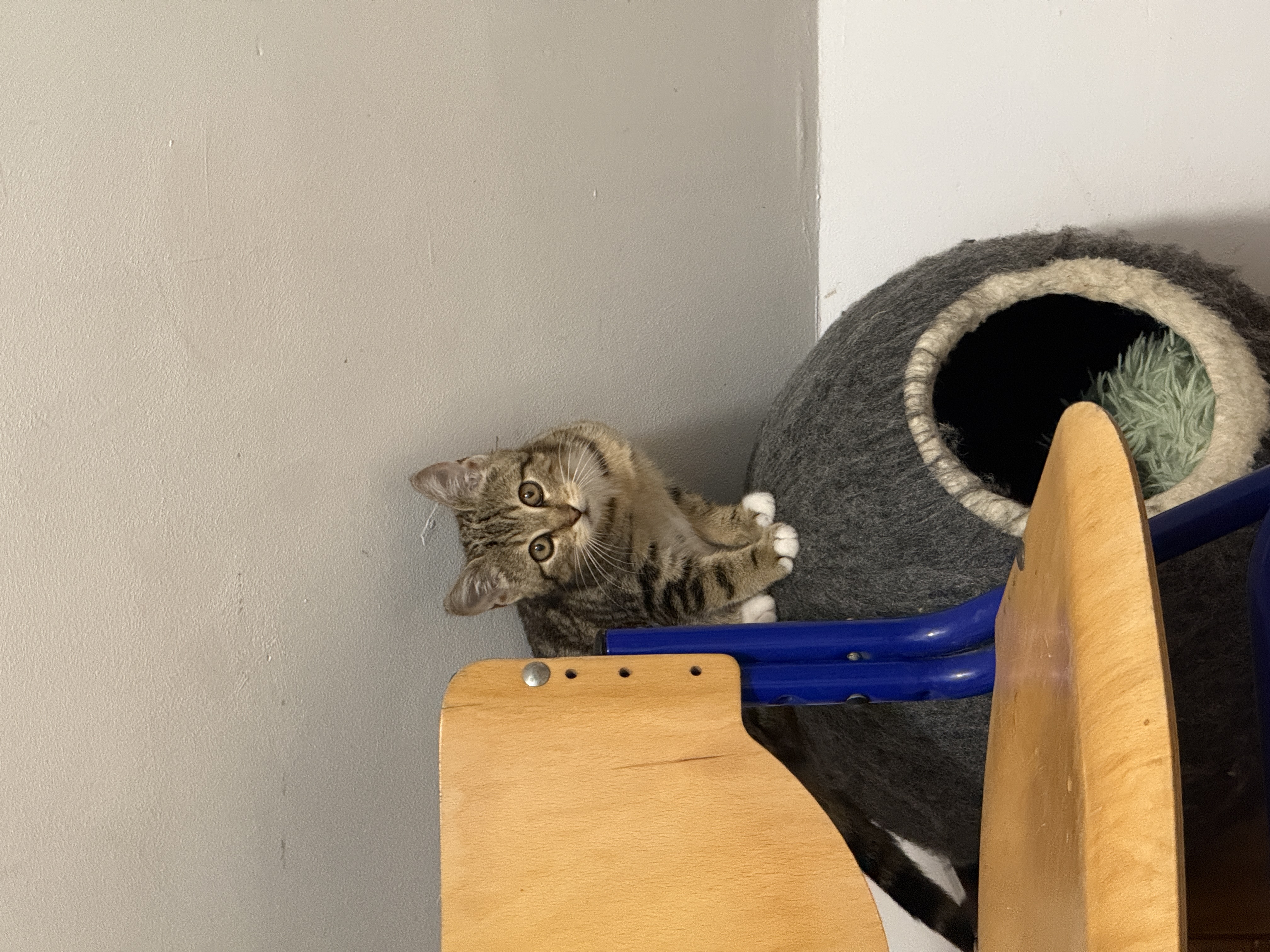 IMG6157.jpeg