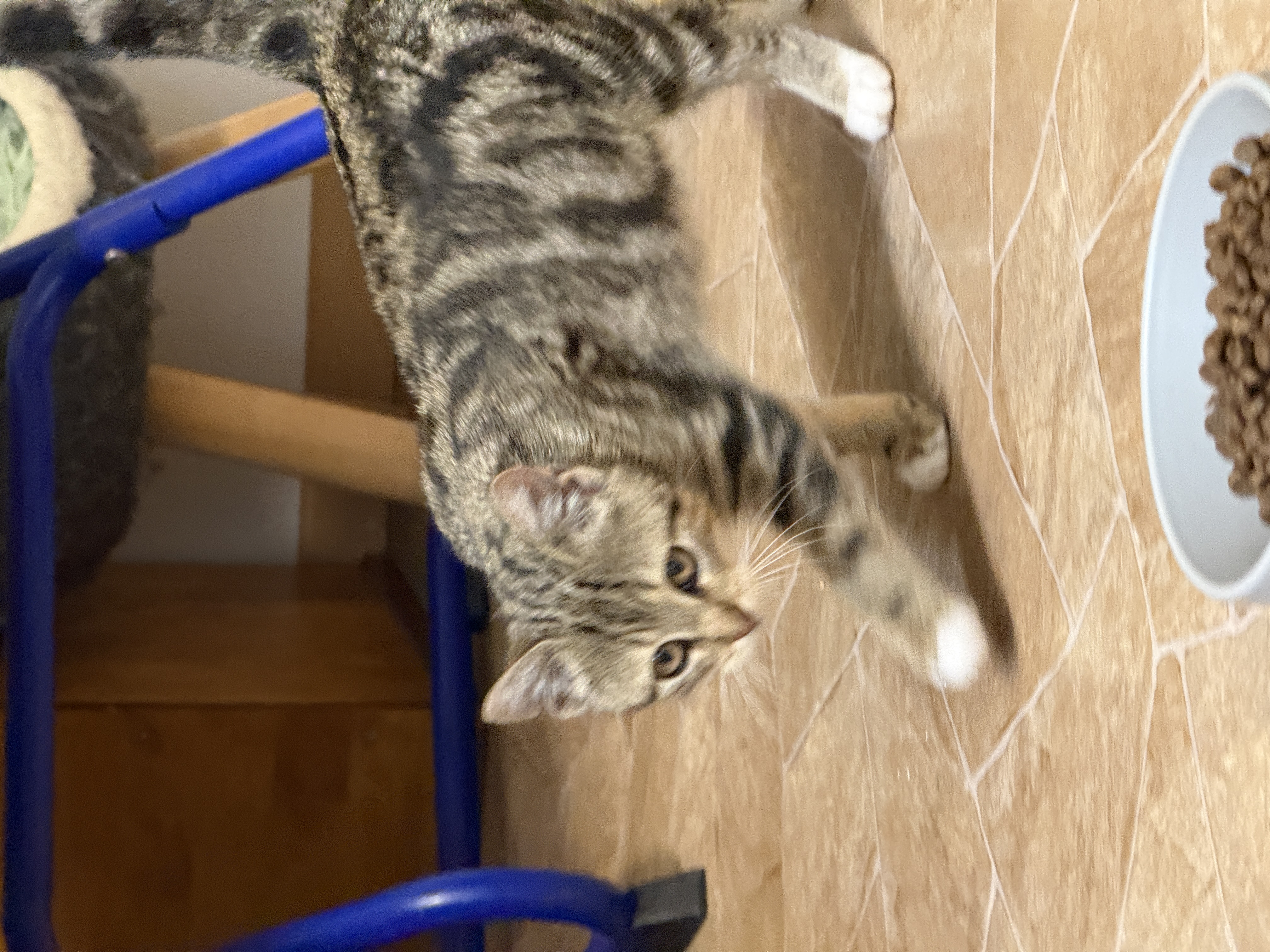 IMG6158.jpeg