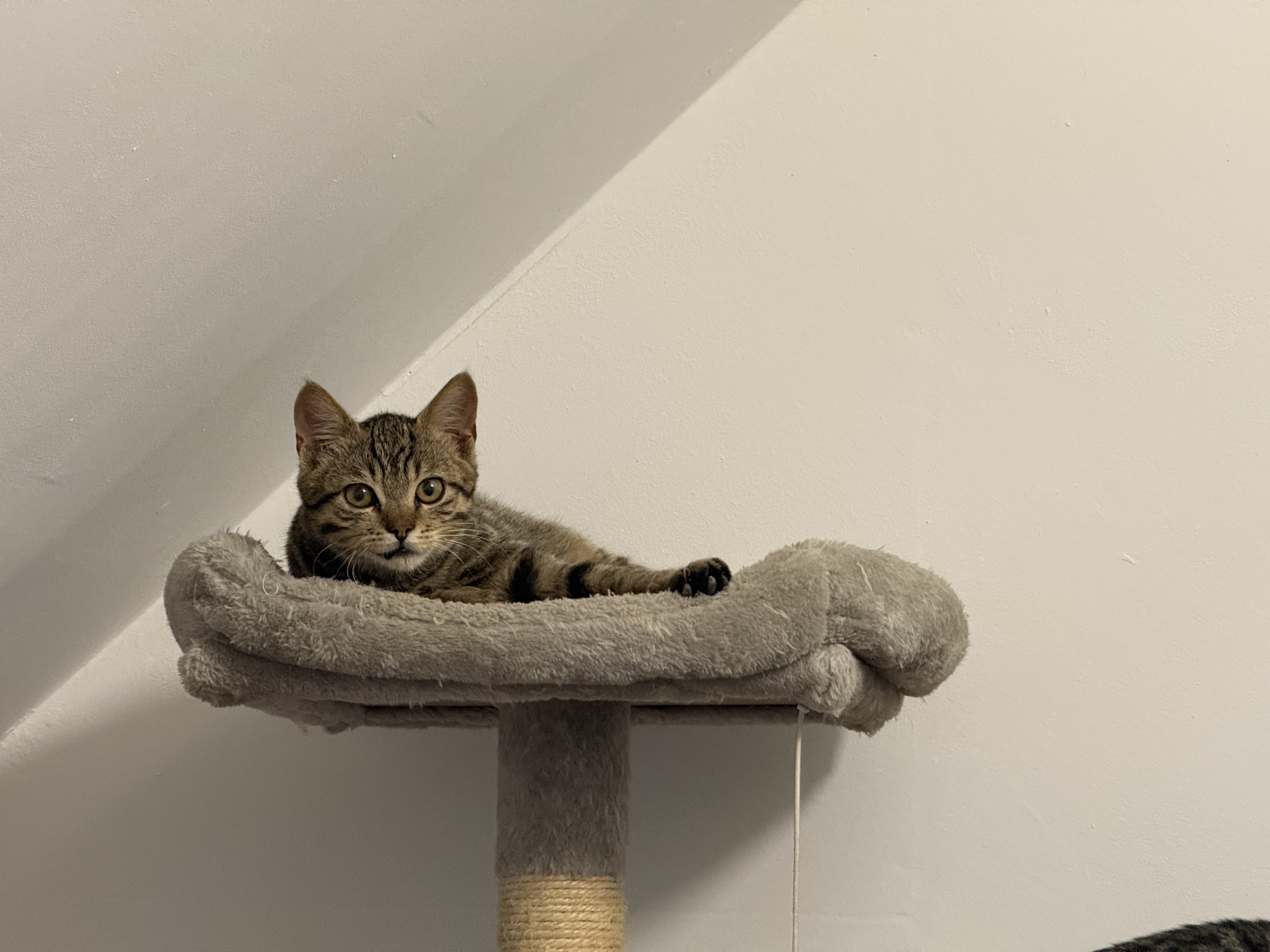 IMG5772.jpeg