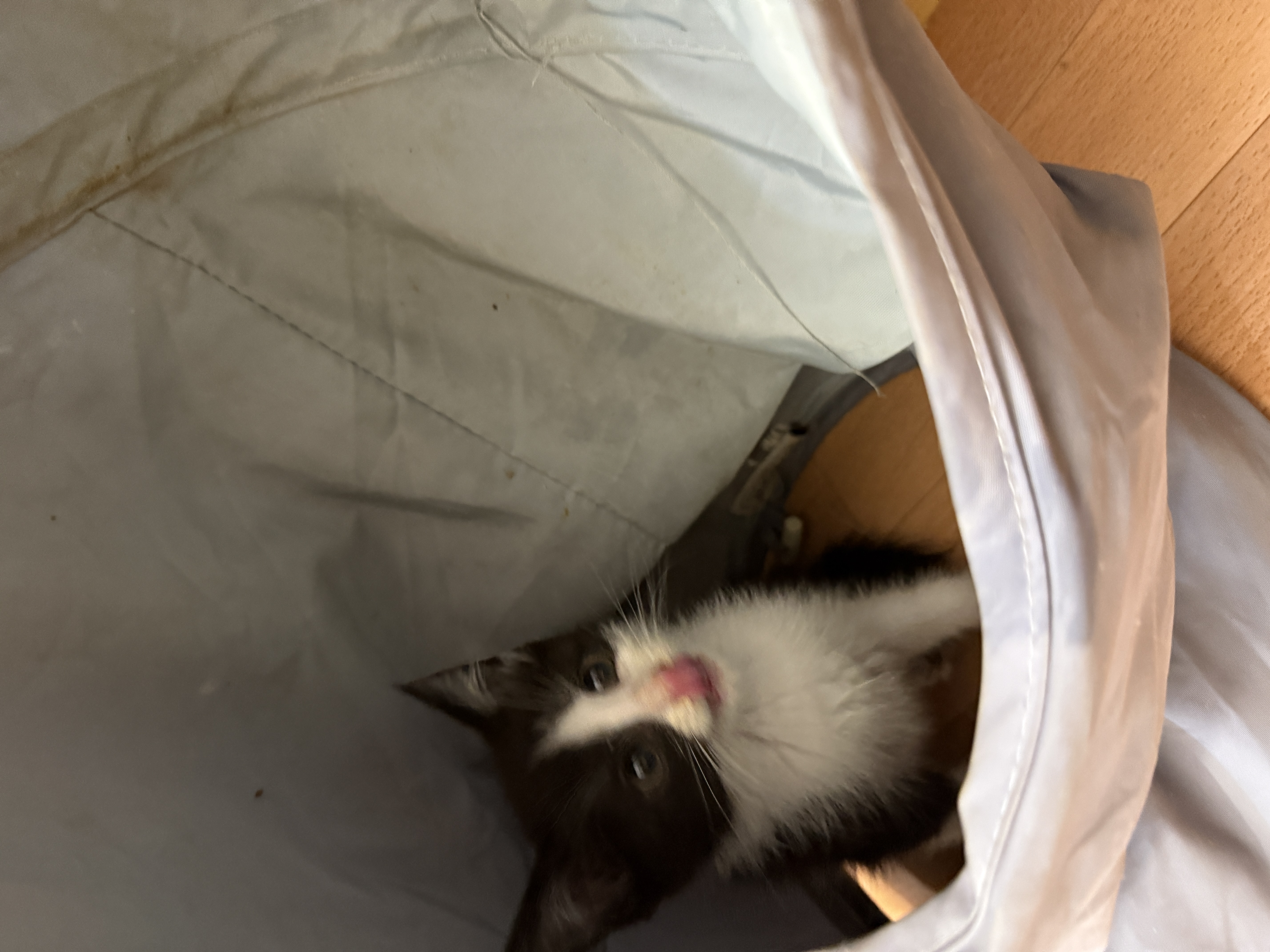IMG3828.jpeg