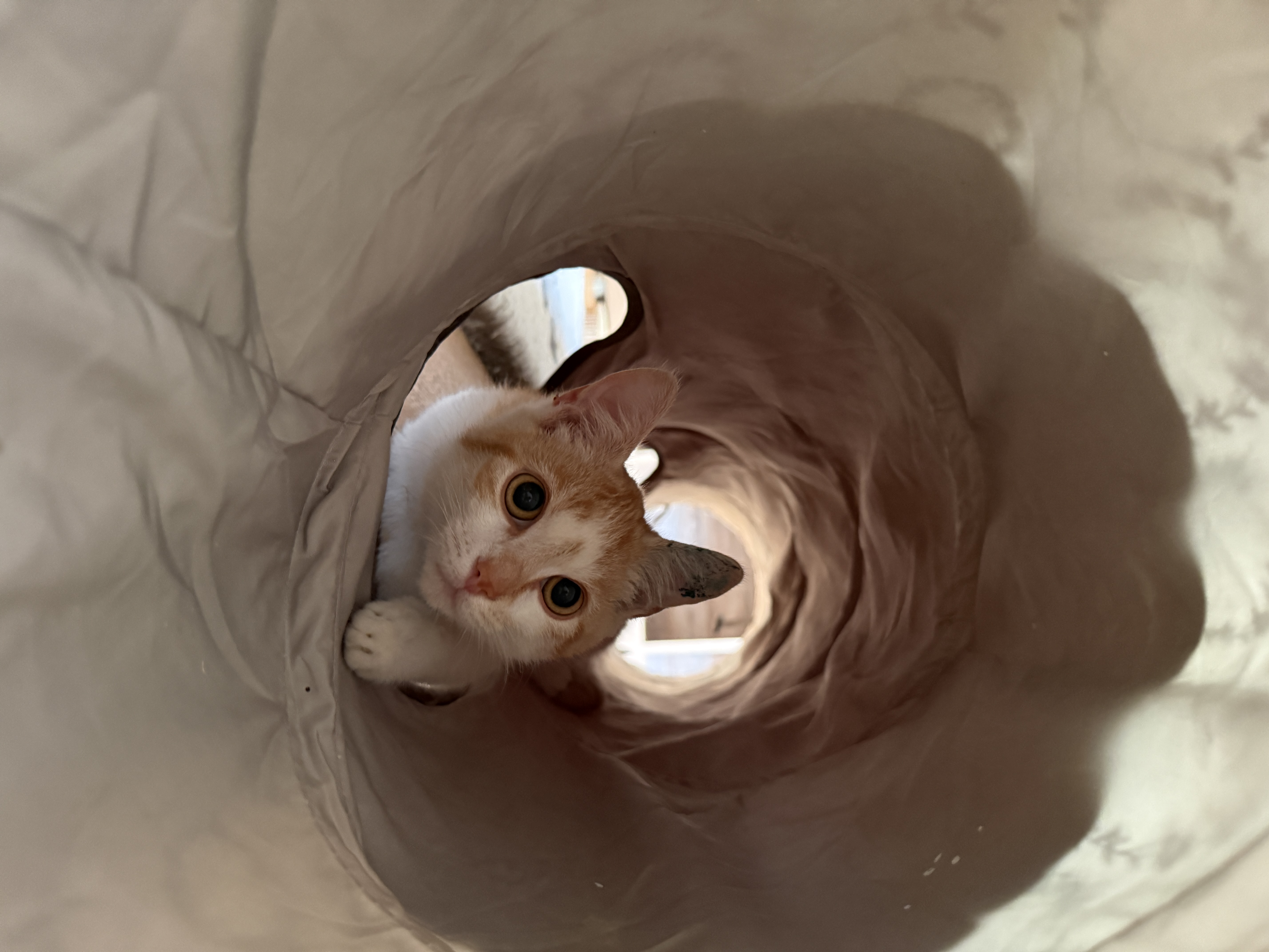 IMG6364.jpeg