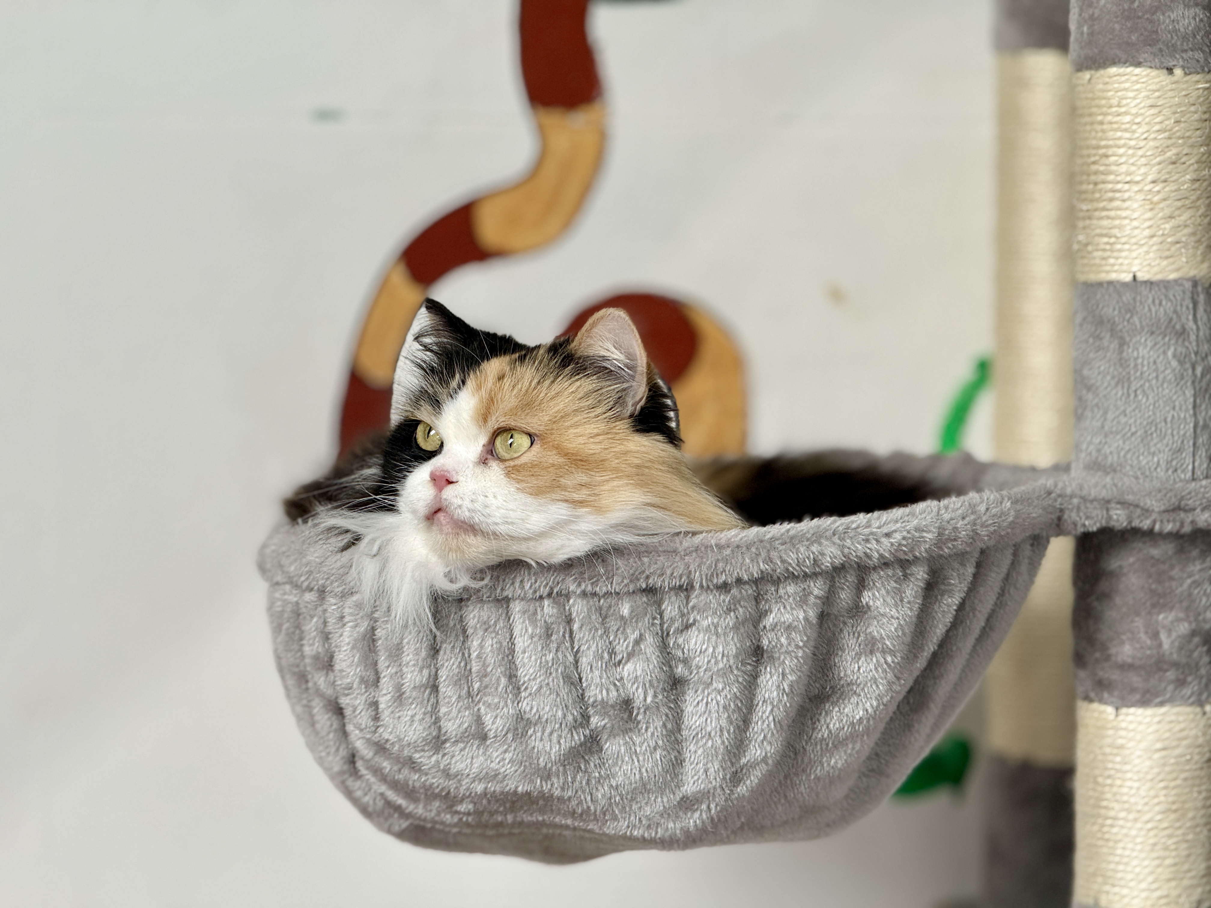 IMG0230.jpeg