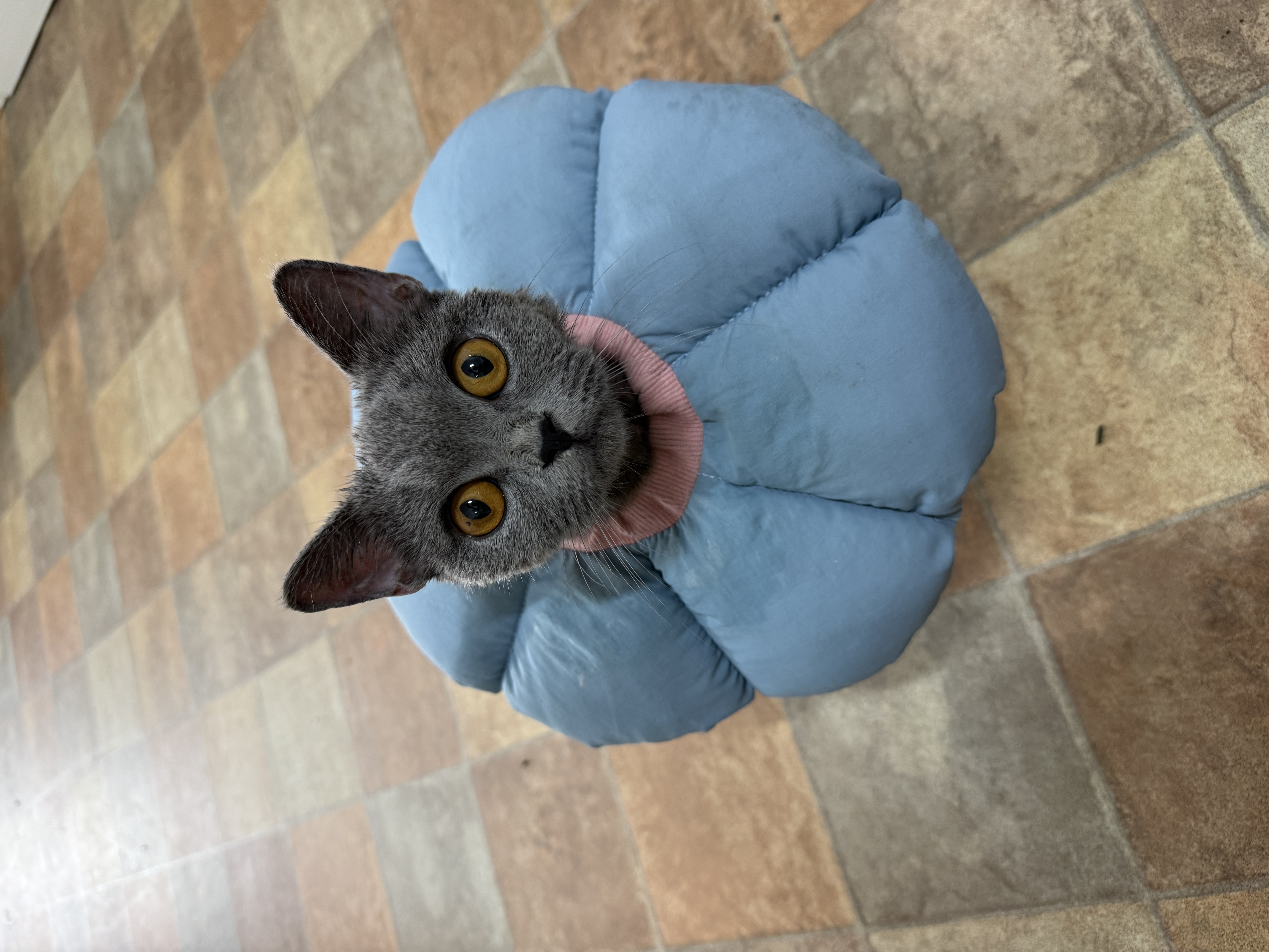 IMG2585.jpeg